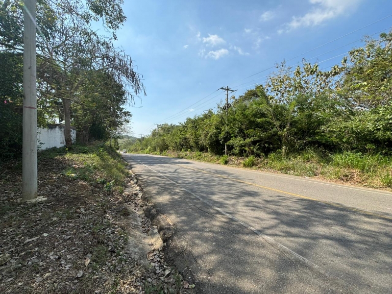 WhatsApp Image 2026-02-09 at 10.41.01 AM (3).jpeg